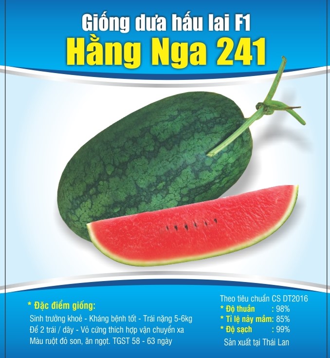 WATERMELON-F1--HANG-NGA-241